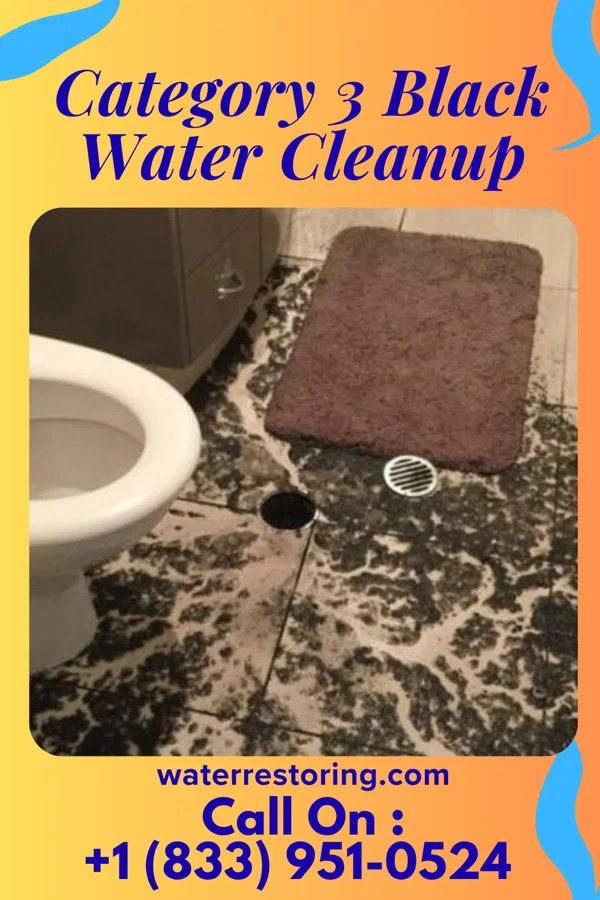 Category 3 Black Water Cleanup in Deferiet, NY