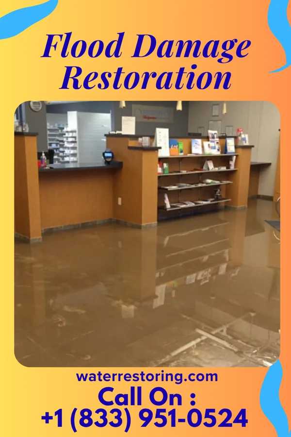 Flood Damage Restoration in Deferiet, NY