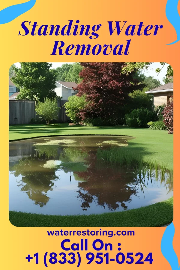 Standing Water Removal in Deferiet, NY